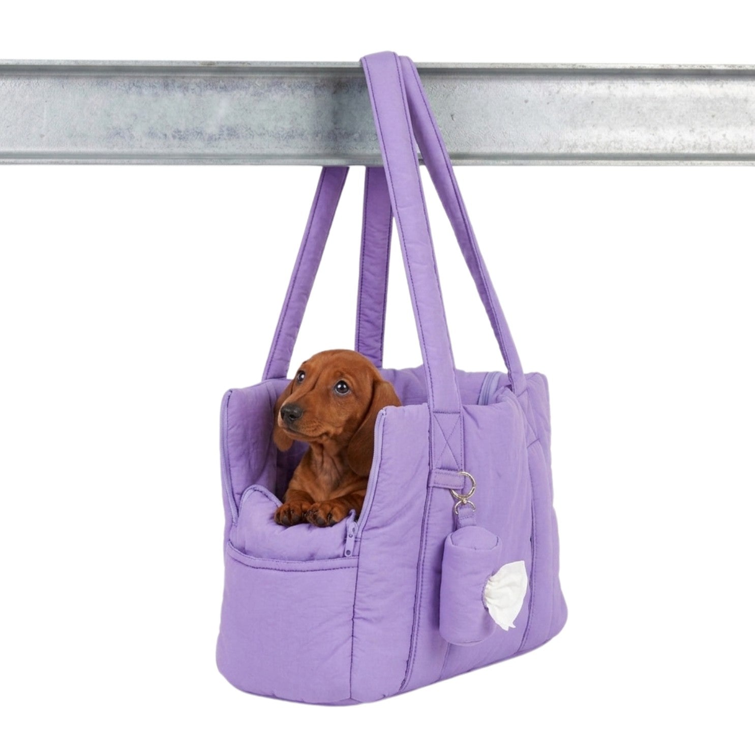 Dog Carrier "Amsterdam"