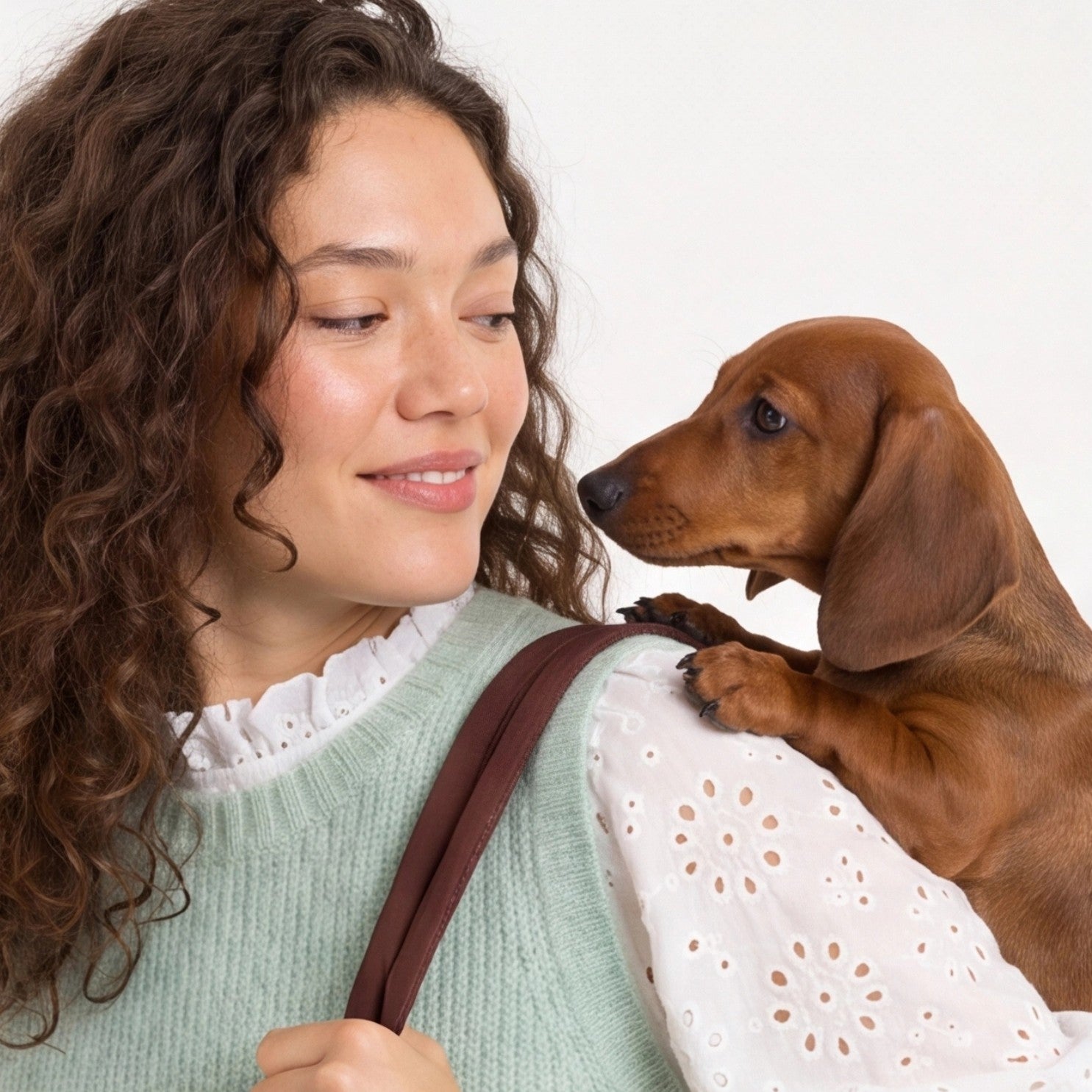 Dog Carrier "Amsterdam"