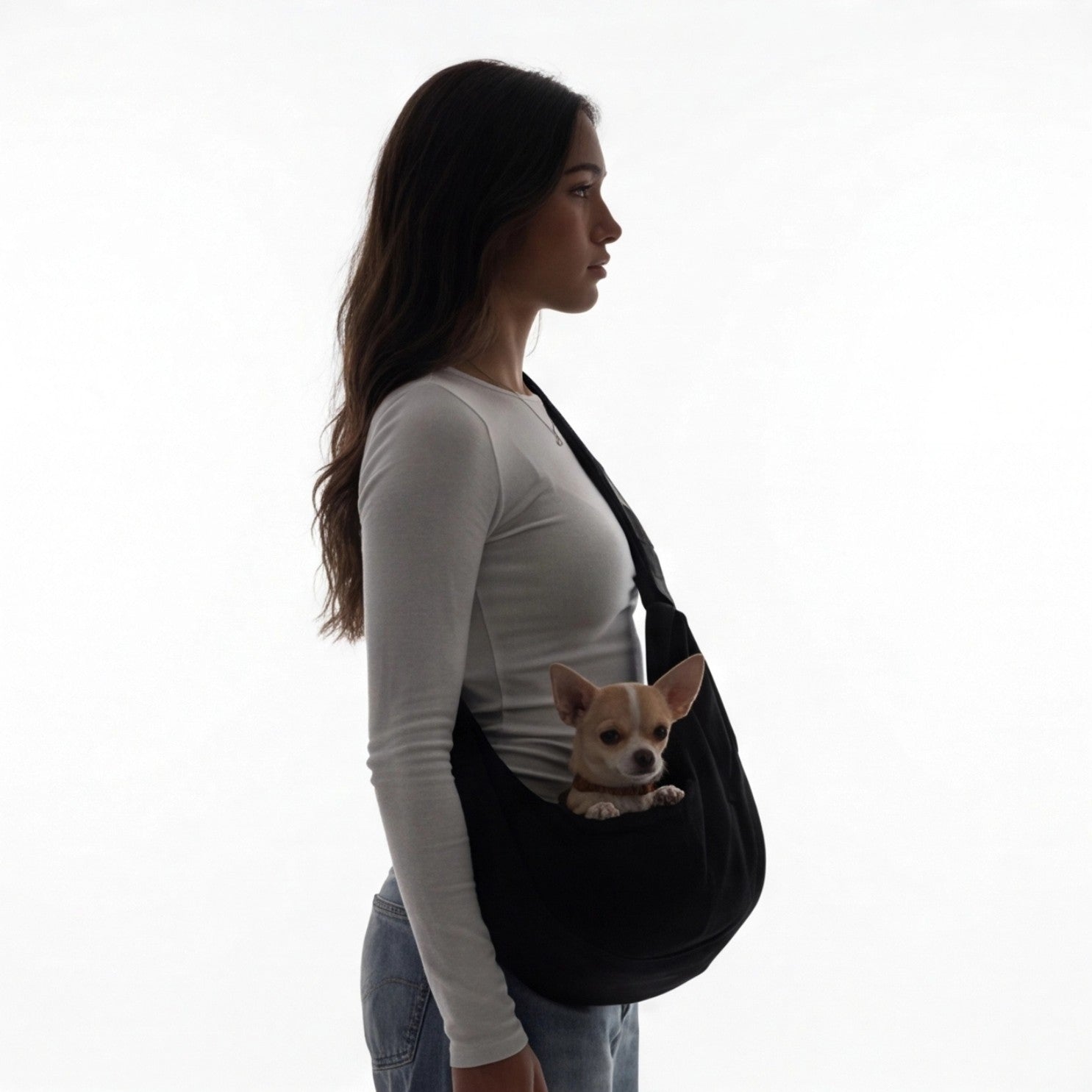 Dog Carrier "Kyoto"