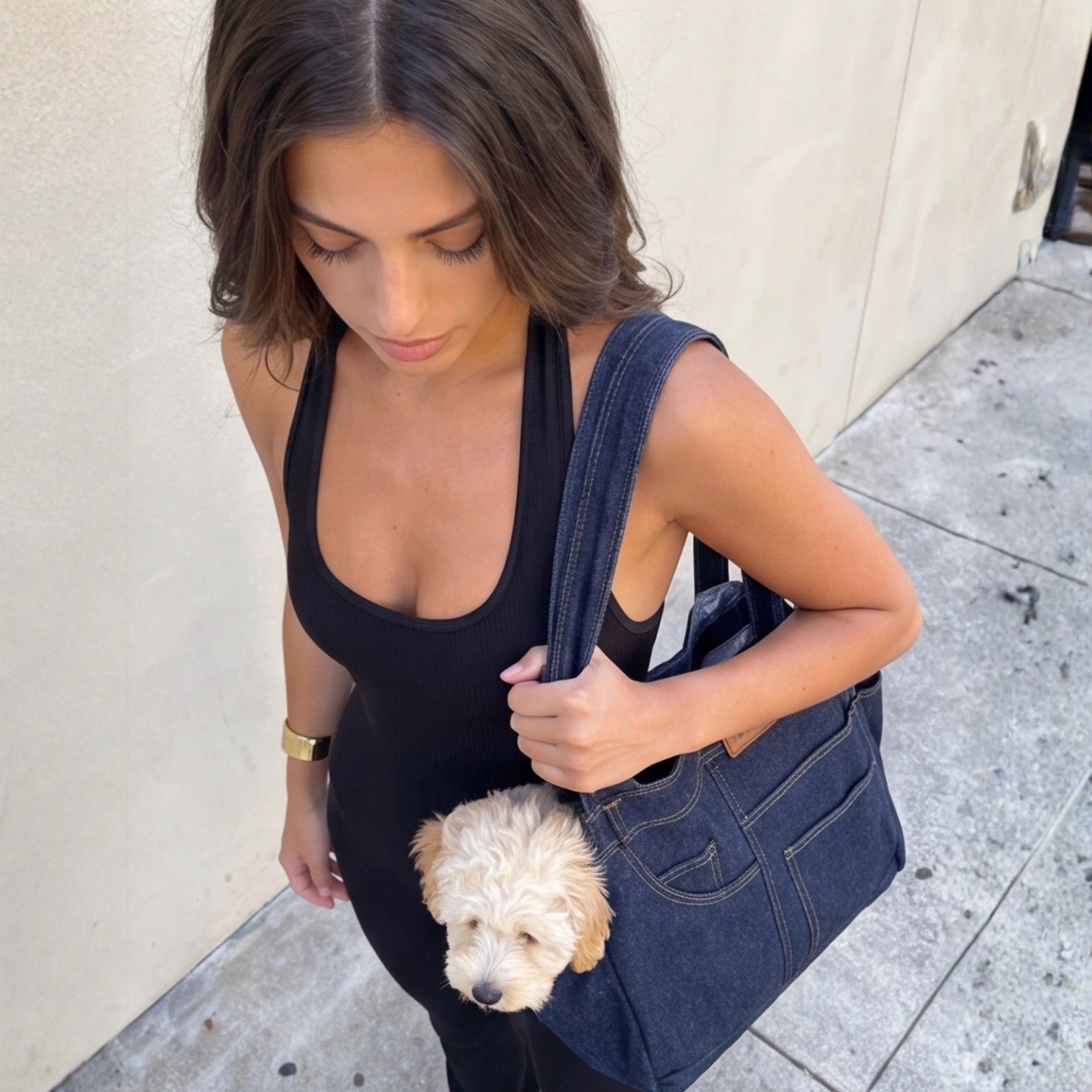 Dog Carrier "Berlin"