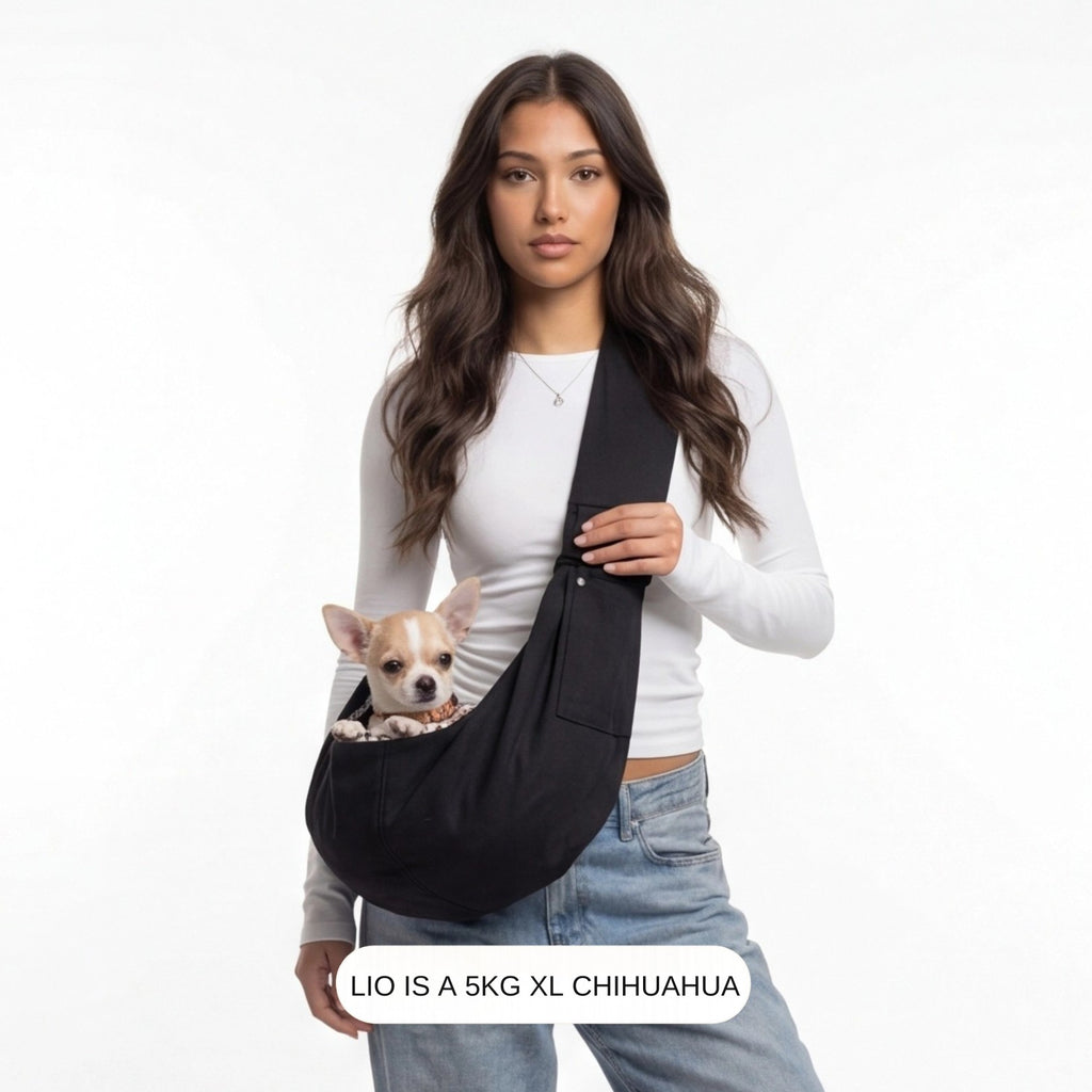 Dog Carrier "Kyoto"