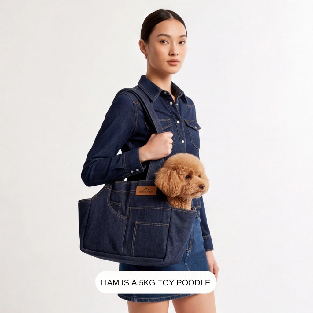 Dog Carrier "Berlin"